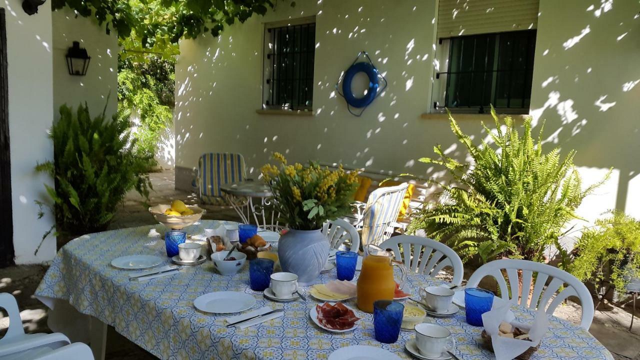 Chalet Junto Playa Y Centro Sanlúcar de Barrameda المظهر الخارجي الصورة
